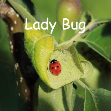 Dark supernatural songs