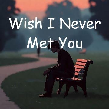 Wish I Never Met You